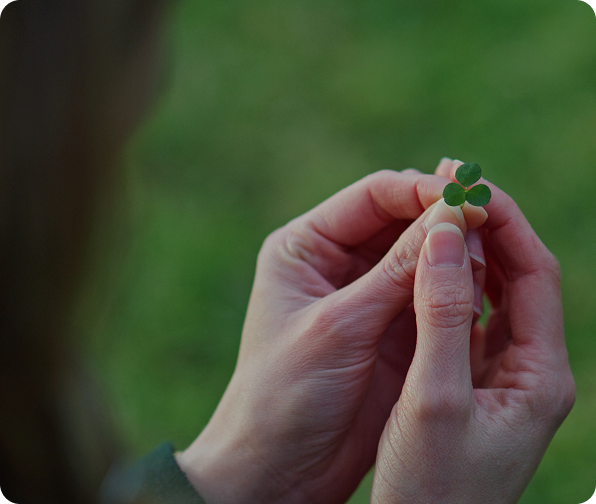 Hands holding a small three-leaf clover against a blurred green background Hands holding a small three-leaf clover against a blurred green background