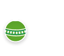 Ornament and snowflake icons