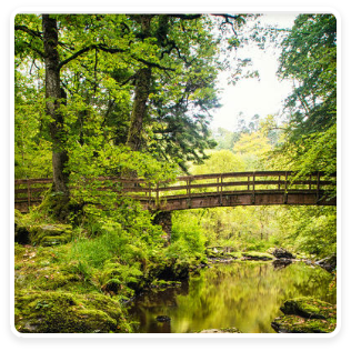A bridge in the Glens of Antrim